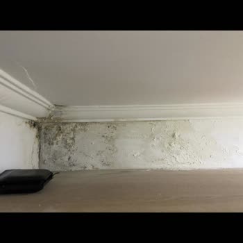 Fore Resort & Spa Fore Resort&SPA Kemer Dehşeti