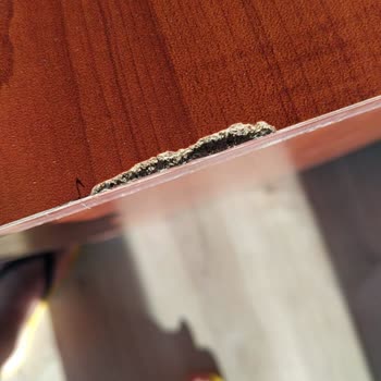 Tuzcuoğlu Nakliyat Tuzcuoğlu Nakliye Firmasının Zararları İş Bilmemeleri