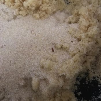 A101'in Böcekli Ürünleri