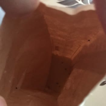 A101'in Böcekli Ürünleri