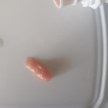 Wanpy Pet Food Kedi Ödül Mamasından Kurt Çıktı!