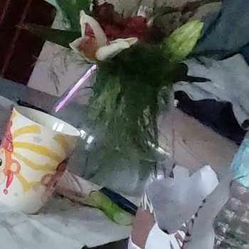 ÇiçekSepeti Görseldeki Ürünü Göndermediler