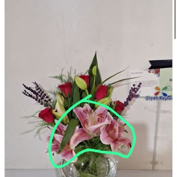 ÇiçekSepeti Görseldeki Ürünü Göndermediler