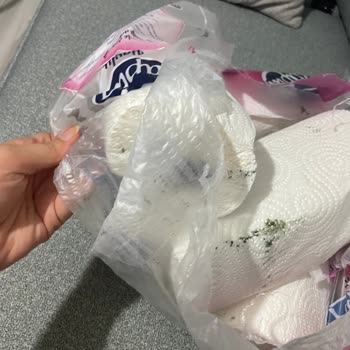 Papia Küflü Havlu Kağıt