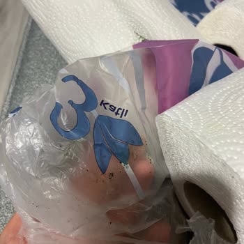 Papia Küflü Havlu Kağıt