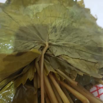 Seboştan Salamura Yaprakları Hakkında Şikayetçiyim