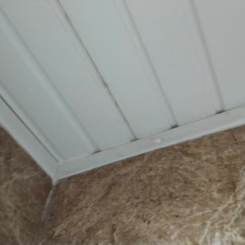 Zehra Hotels & Villas Oda Arızası, Su Kaçağı