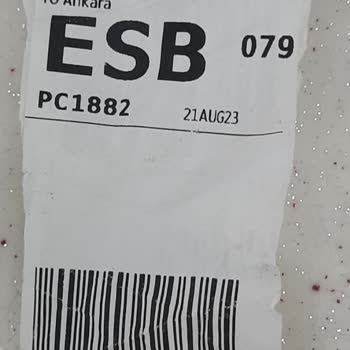 Pegasus Hasarlı Valiz Teslimi