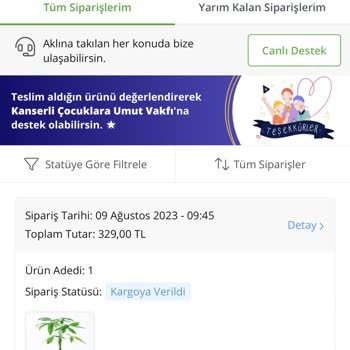 Çiçek Sepeti'nin İlçe Merkezine 2 Haftadır Çiçek Teslim Edememesi