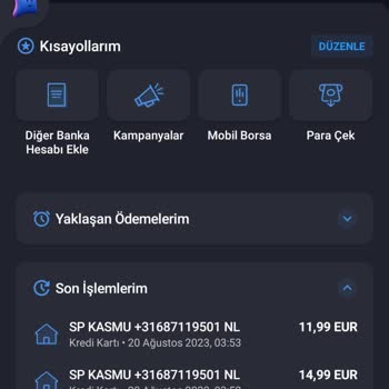 Netflix Kredi Kartı Bilgilerim