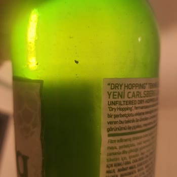Carlsberg Luna Tortular Var