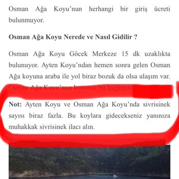 Muğla Büyükşehir Belediyesi Göcek'te Sinek Problemi