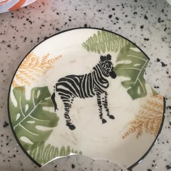 Aydın Nakliyat Kayseri Taşıyamama Sorunu