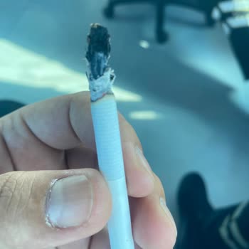 Philip Morris Hatalı Ürün Sigaranın İçinden Odun Çıkıyor. Sigarayı Çektiğimizde