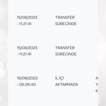 PTT Kargonun Teslimat Süresi