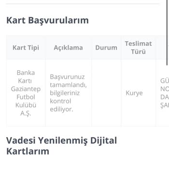Passolig Web Sitesine Erişim Sorunu