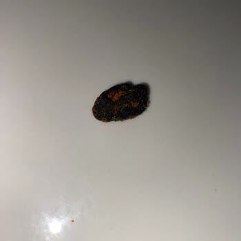 Patos Cips Paketinden Garip Bir Şey Çıktı