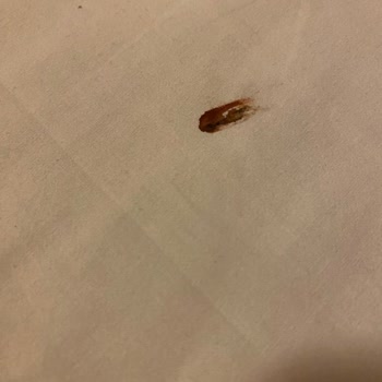 Comet Hotel Deluxe Ayıplı Hizmetin İadesi