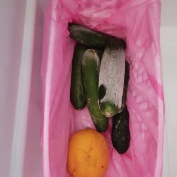 Beko Buzdolabı Karlanma Yapıyor Ve Ses Çıkarıyor!