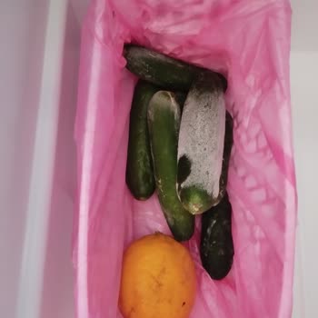 Beko Buzdolabı Karlanma Yapıyor Ve Ses Çıkarıyor!