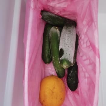 Beko Buzdolabı Karlanma Yapıyor Ve Ses Çıkarıyor!