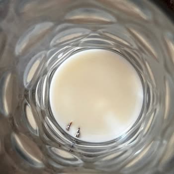 Pınar Marka Sütten Çıkan İlginç Cisimler