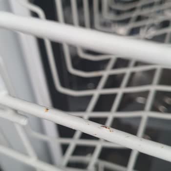 Arçelik 6231 Bulaşık Makinesi Sepeti Paslandı