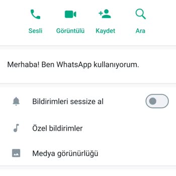 WhatsApp'dan Gelen Yabancı Numara Mesajı