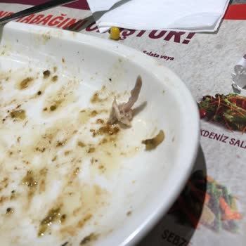 Tavuk Dünyası'ndan Çıkan Bıçak Gibi Kemik