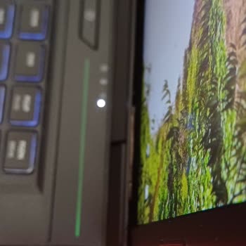 Monster Menteşe Kırığı Ve Çatlak