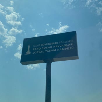 İzmir Büyükşehir Belediyesi Veteriner Hekimliğinden Bilgi Alamıyorum