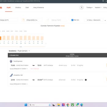 Turna.com Hayali Bilet Satıyor