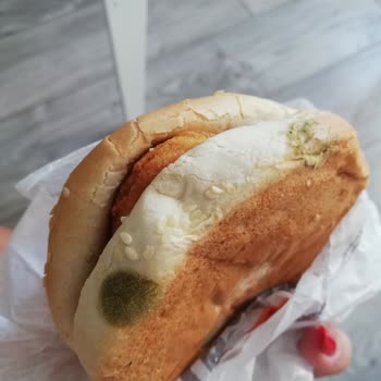 Burger King'ten Küflü Ekmekli Hamburger Geldi