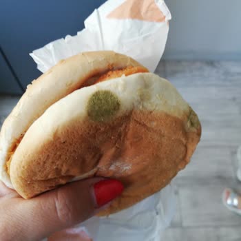 Burger King'ten Küflü Ekmekli Hamburger Geldi