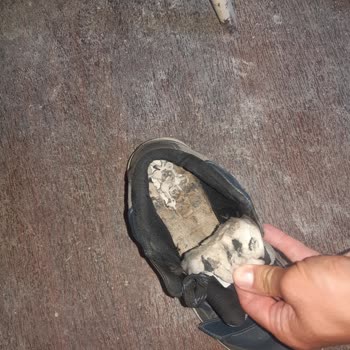 Kappa'dan Aldığım Kalitesiz Ayakkabı