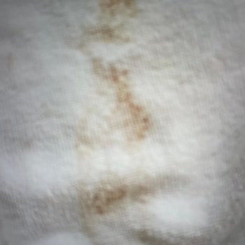 Maya World Hotels Kalitesiz Hizmeti