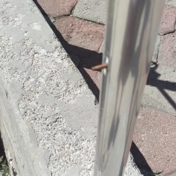 BİM Kapılarında Ki Ucu Açık Demir Kafamı Çizdi Umurlarında Olmadı