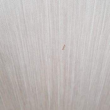 T. C. Cumhurbaşkanlığı Ürünler Tam Bir Fiyasko