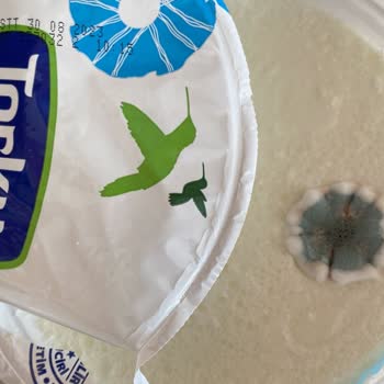 Torku Yoğurdu Açılmamış Pakette Küf Oluşumu