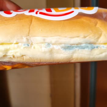 BİM Market Tombiş Sandviç SKT' Ye 6 Gün Varken Buzdolabında Küflenmiş