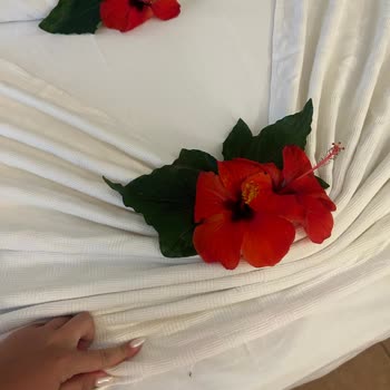 Champion Holiday Village Balayımızı Mahvettiler 5 Yıldızmış