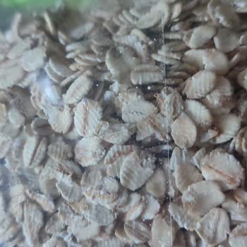 Cityfarm Organik Yulaf Ezmesi