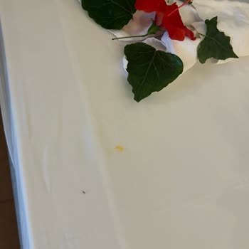 Setur Fiyaskosu Marka Adına Aldandık