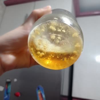 Binboğa Bozulmuş, Küflü, Sahte Bal