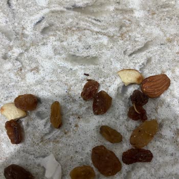 A101 Kuruyemişte Böcek Doluydu