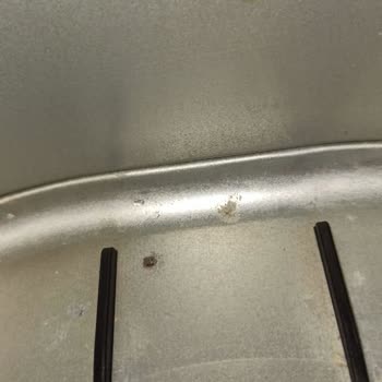 Electrolux Air Fryer Paslandı