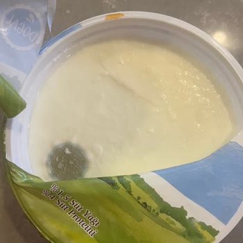 Sek Marka Yoğurt Hakkında Şikayet