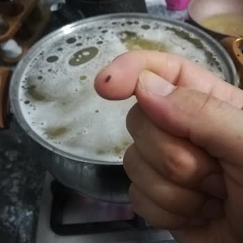 Nuh'un Ankara Makarnası Böcekli Ankara Makarnası