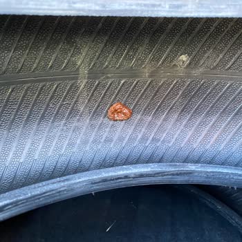 Enterprise Rent A Car Araç Tekerlekleri Ve Frenleri Kötü Veriliyor