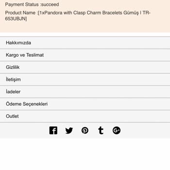Pandora-turkiye.com.tr Ürün Direkt Olarak Yanlış Geldi